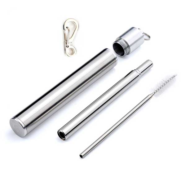 Stainless Steel Straws with Pouch - Silver